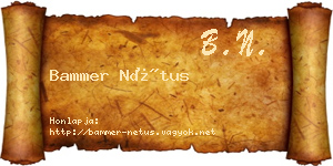 Bammer Nétus névjegykártya